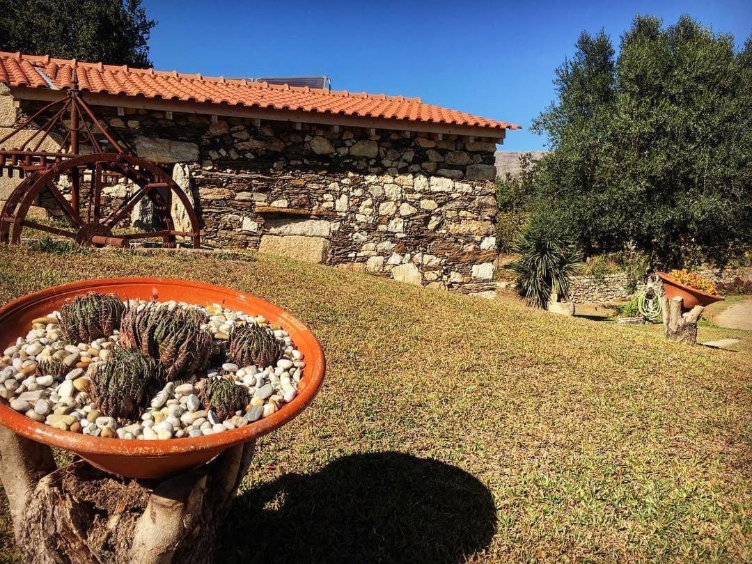Quinta Do Fortunato 维亚纳堡 外观 照片